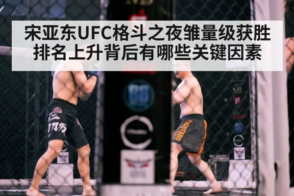 宋亚东UFC格斗之夜雏量级获胜排名上升背后有哪些关键因素